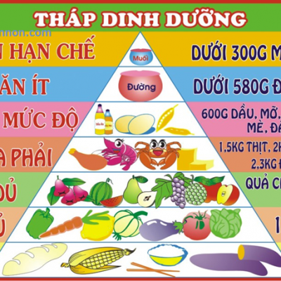 Tháp Dinh Dưỡng Hình Chữ Nhật CITY-8BB-16